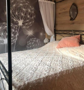Holiday Guesthouse La Casina di Butzi pet friendly - Terme di Arta - Zoncolan Arta Terme